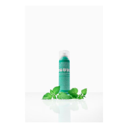 Klorane Dry Shampoo Exto Nettle Exto Brown Chestnut Shampoo 150ml