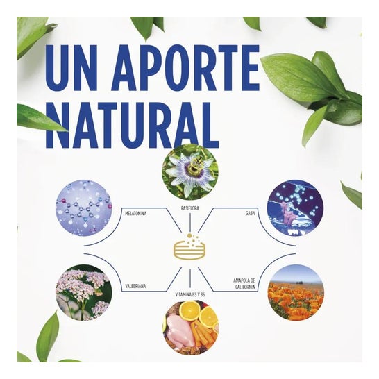 Eladiet Goodnight 60 comprimidos Eladiet Goodnight 60 comprimidos