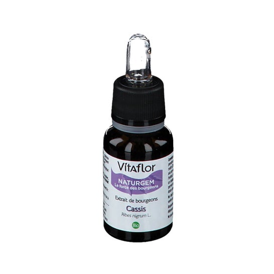 Vitaflor Extracto Orgânico de Groselhas Negras 15ml