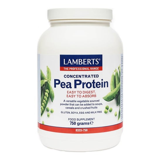 Lamberts Protein Pea 750 G