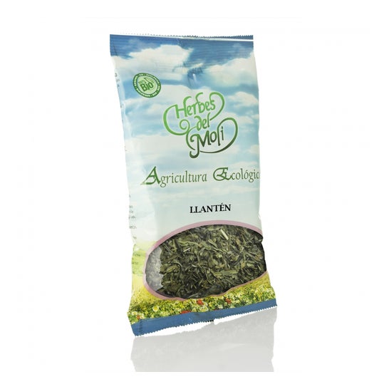 Folhas de Plátano 45 Gr