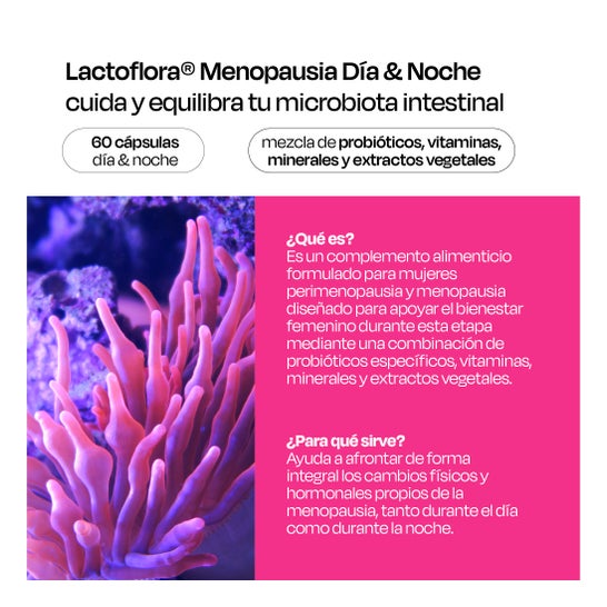 Lactoflora Menopausia Día & Noche 30+30 Cáps