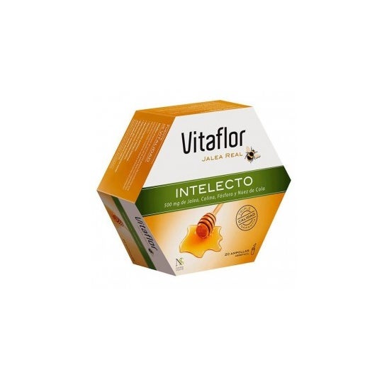 Vitaflor Geleia Real Intelecto 20amp