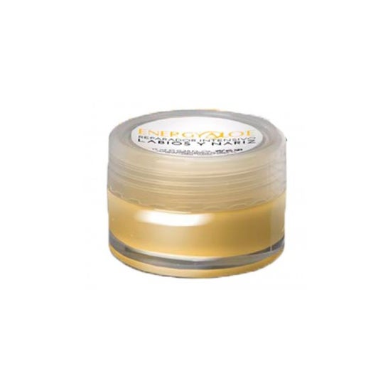 Energyaloe intensivo de reparação de lábios e nariz 15ml