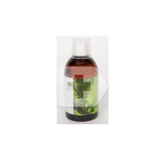 Sotya suco de aloe vera 500ml
