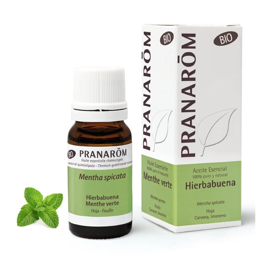 Menta Verde Pranarom He Orgânico 10ml Menta Verde Pranarom He Orgânico 10ml