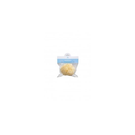 Esponja natural Interapothek grande 1ud