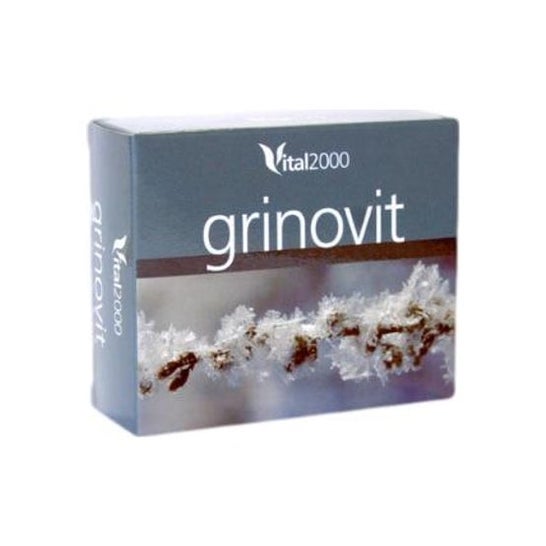 Vital 2000 Grinovit 60comp
