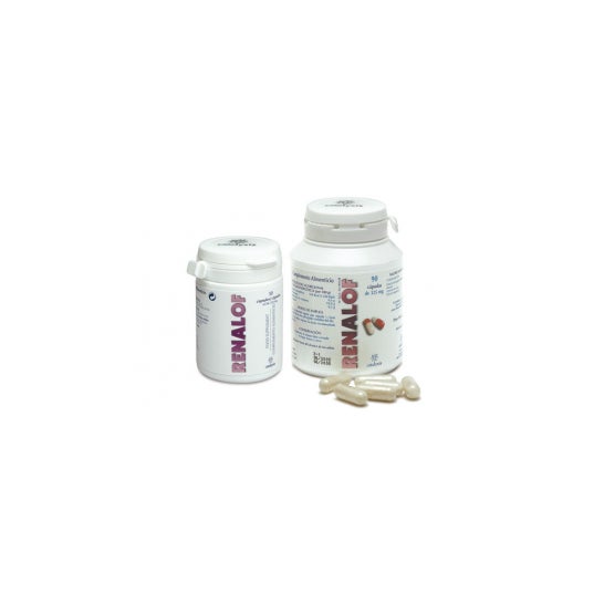 Cfn Bifidusflora 5000 60vcaps