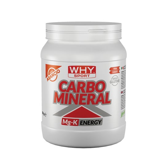 Why Sport Carbo Mineral 500g