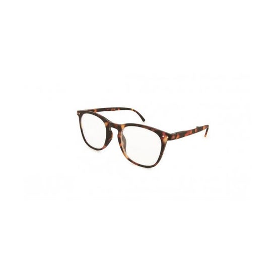 Óculos dobráveis de visão nórdica Havana +2,50