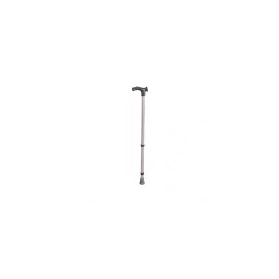 Vilgo English Cane Regl Enf 1