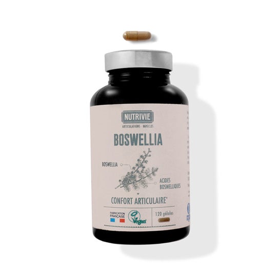 Nutrivie Boswellia 120 Perlas