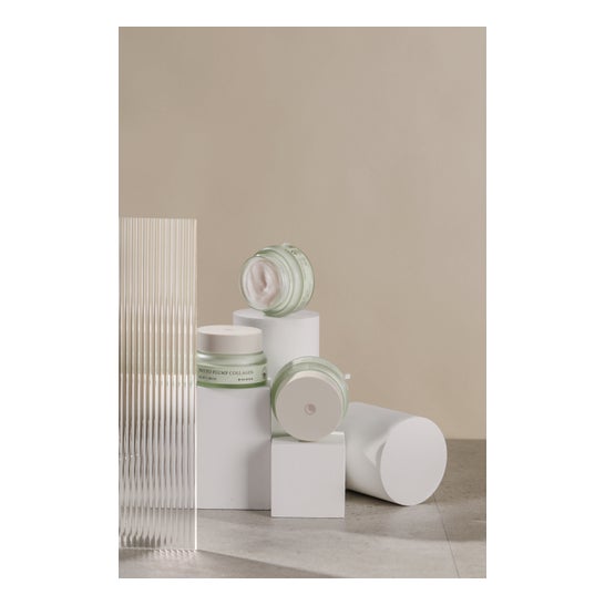 Mizon Phyto Plump Collagen Night Cream 50ml