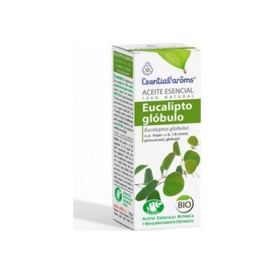 Essência Esential Aroms Eucalyptus Globulo 10ml