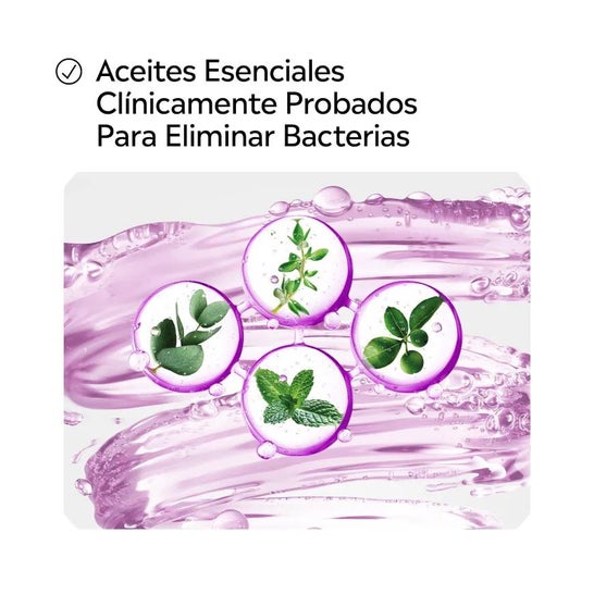 Listerine Total Care Zero Bain Bain Bch +Lèg 500Ml Listerine Total Care Zero Bain Bain Bch +Lèg 500Ml