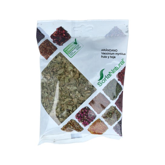 Soria Natural Blueberry Bag 30g
