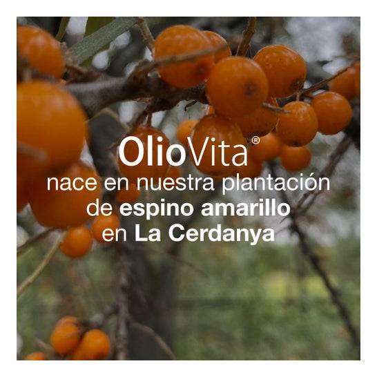 Vitae Oliovita® 60caps