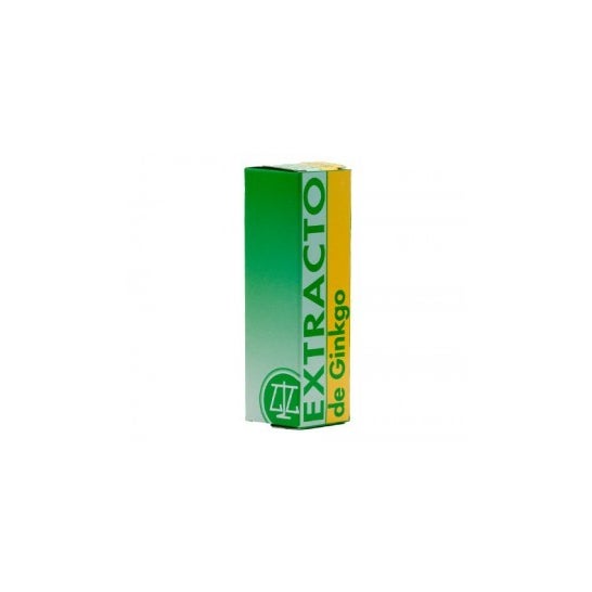 Extrato de Ginkgo Equisalud 31ml