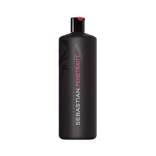 Champô Sebastian Penetraitt 1000 Ml