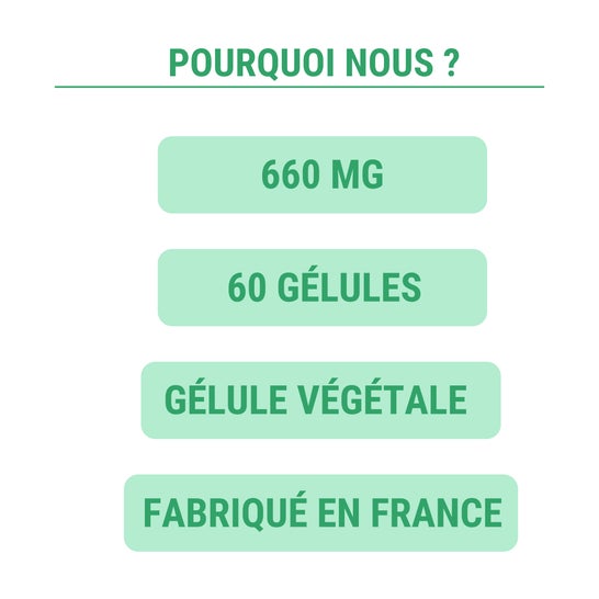 Enova Elements L-Tyrosine 660mg 60 Gélules