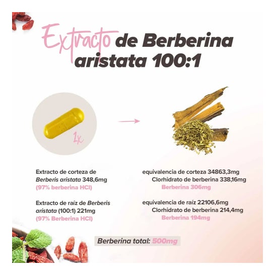 HSN Berberina Complex 500mg 120vcaps
