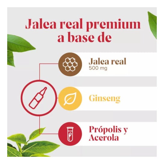 Arkoreal Geleia Real + Ginseng 20 ampolas