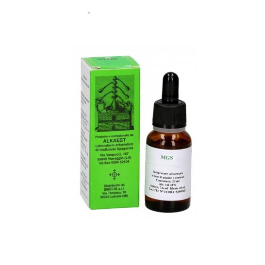 Alkaest mgs3 Birch Spg Glicerinado Macerado 20ml