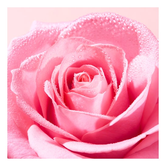 Nuxe Very Rose Eau Mic Se100ml