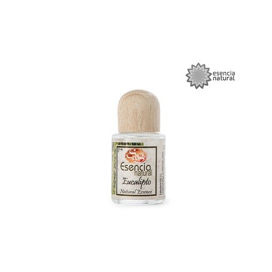 Essência natural de eucalipto 12ml