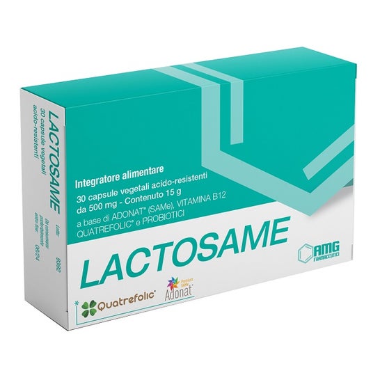 Amg Farmaceutici Lactosame 30caps