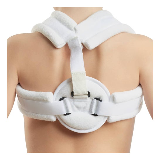 Orliman Anillo clavicular T2/criança