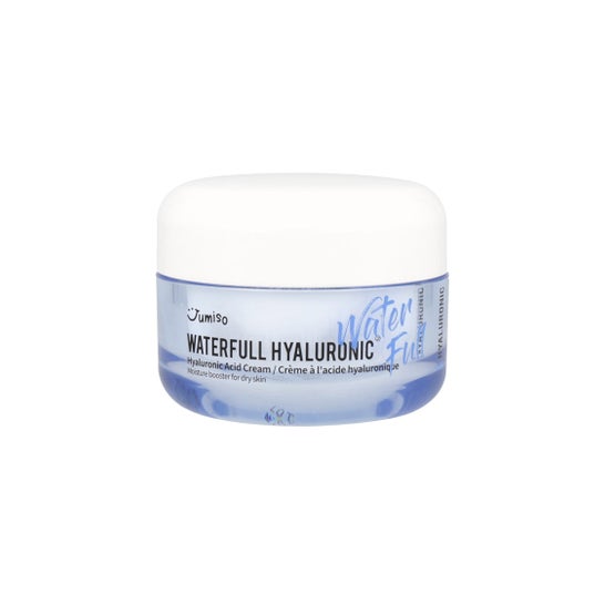Jumiso Waterfull Hyaluronic Acid Cream 50 gr