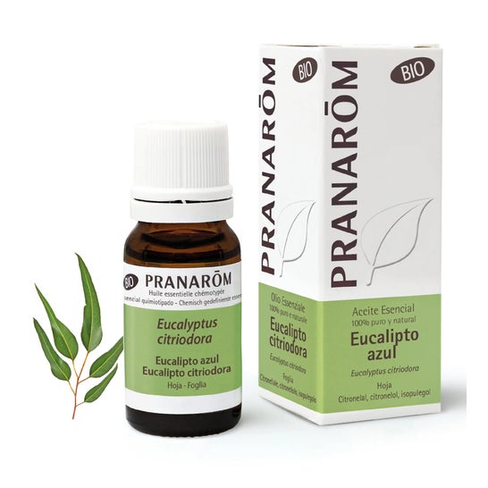 Pranarôm óleo essencial de eucalipto azul ORGÂNICO 10ml