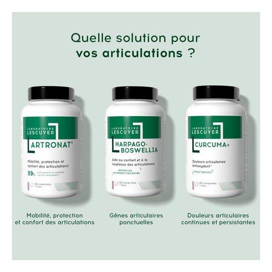 Lescuyer Artronat 90comp Lescuyer Artronat 90comp