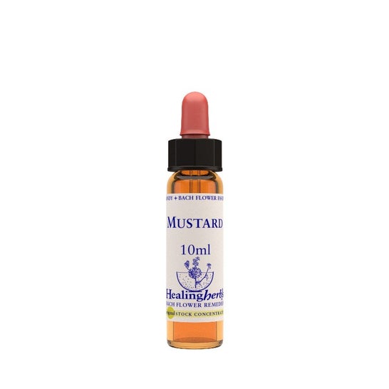 Mustard Ess 10Ml Inglês B021 Her