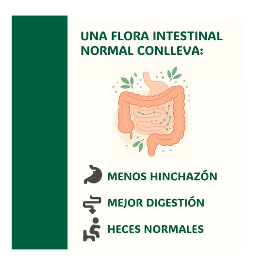 I3.1 Probiótico 30 Caps I3.1 Probiótico 30 Caps