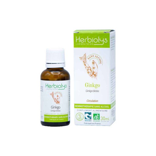 Herbiolys Ginkgo Bio Gemoterapia Sem Álcool 30ml