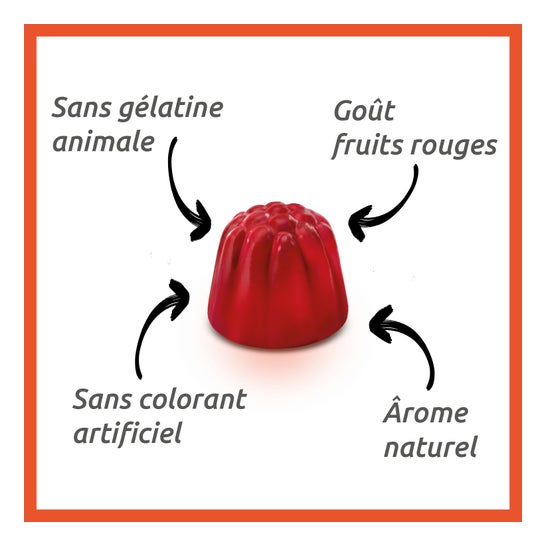 Vitascorbol Énergie 50gummies