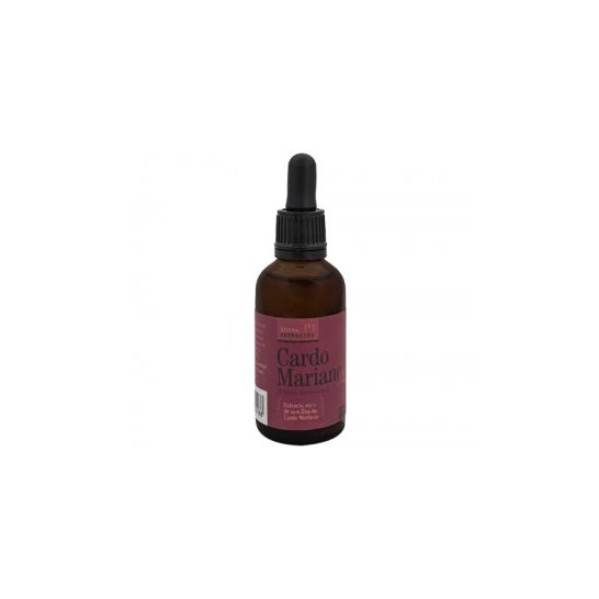 Sotya Cardo Mariano 60ml