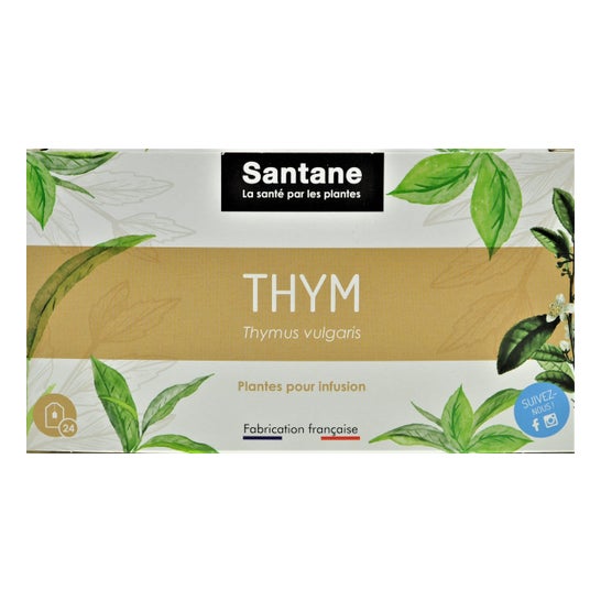 Santane Thyme Tis Sach 24