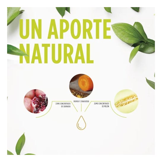 Lombrifina 250ml Lombrifina 250ml