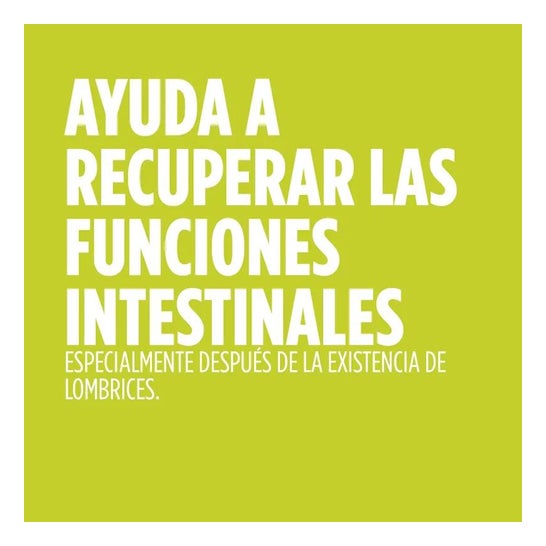 Lombrifina 250ml Lombrifina 250ml