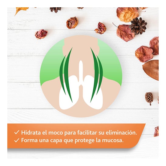 Bisolherbal 2 em 1 Xarope 180 g