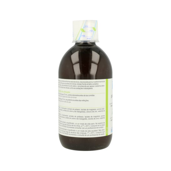 Nutergia Ergysil Bottle 500 Ml Solução