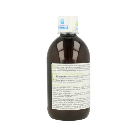 Nutergia Ergysil Bottle 500 Ml Solução