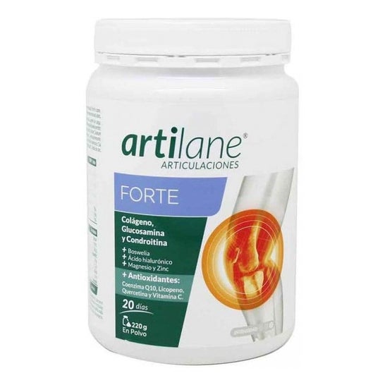 Artilane Forte Pó 220 G