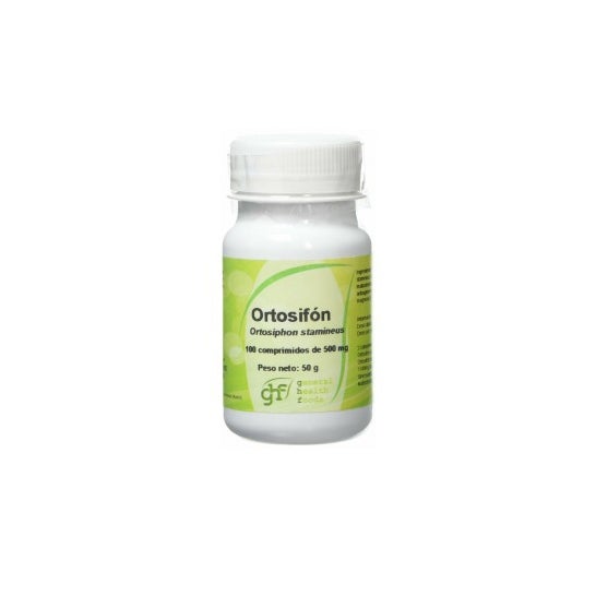 GHF Orthosiphon 500mg 100comp