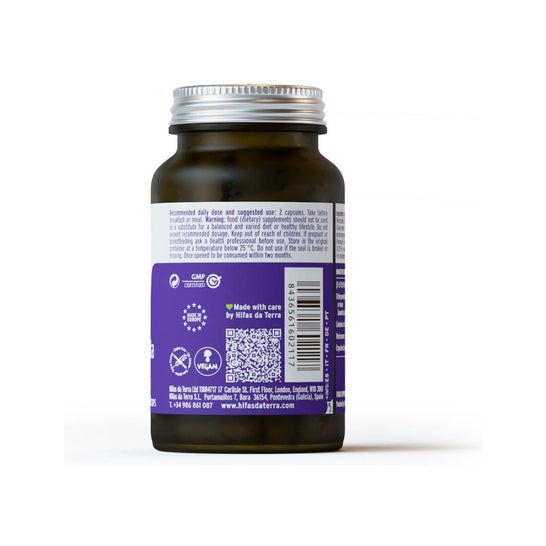 Hifas da Terra Hifa Microbiota 60caps