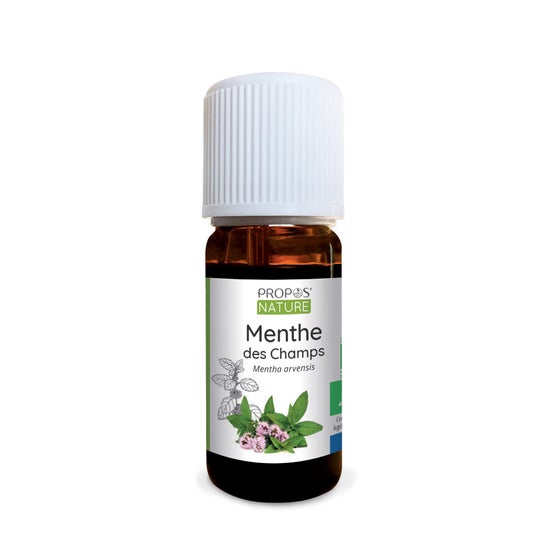 Proposta de Óleo Essencial Orgânico da Natureza Menta de Campo 10ml